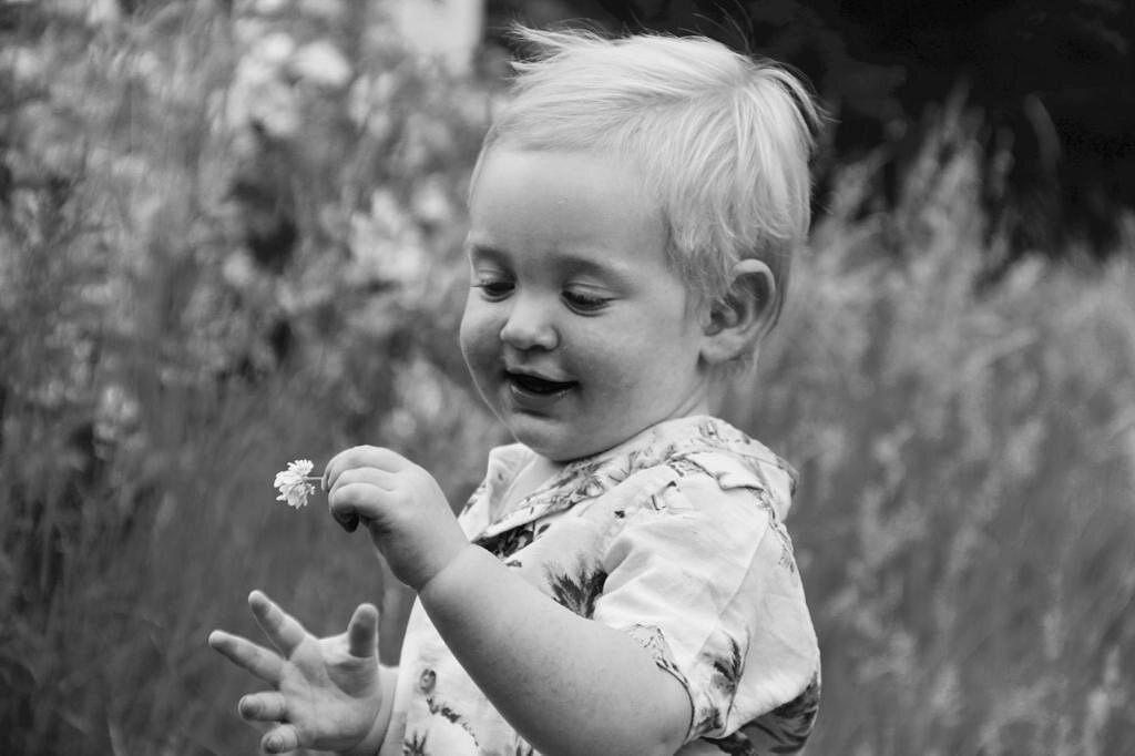 William &amp; a flower. 🖤 

A portrait of the youngest child from a family photoshoot. The shoot was arranged to get some photographs to gift as a 40th birthday present. 

Get in touch if you&rsquo;d like some natural family moments captured. 

 #ch