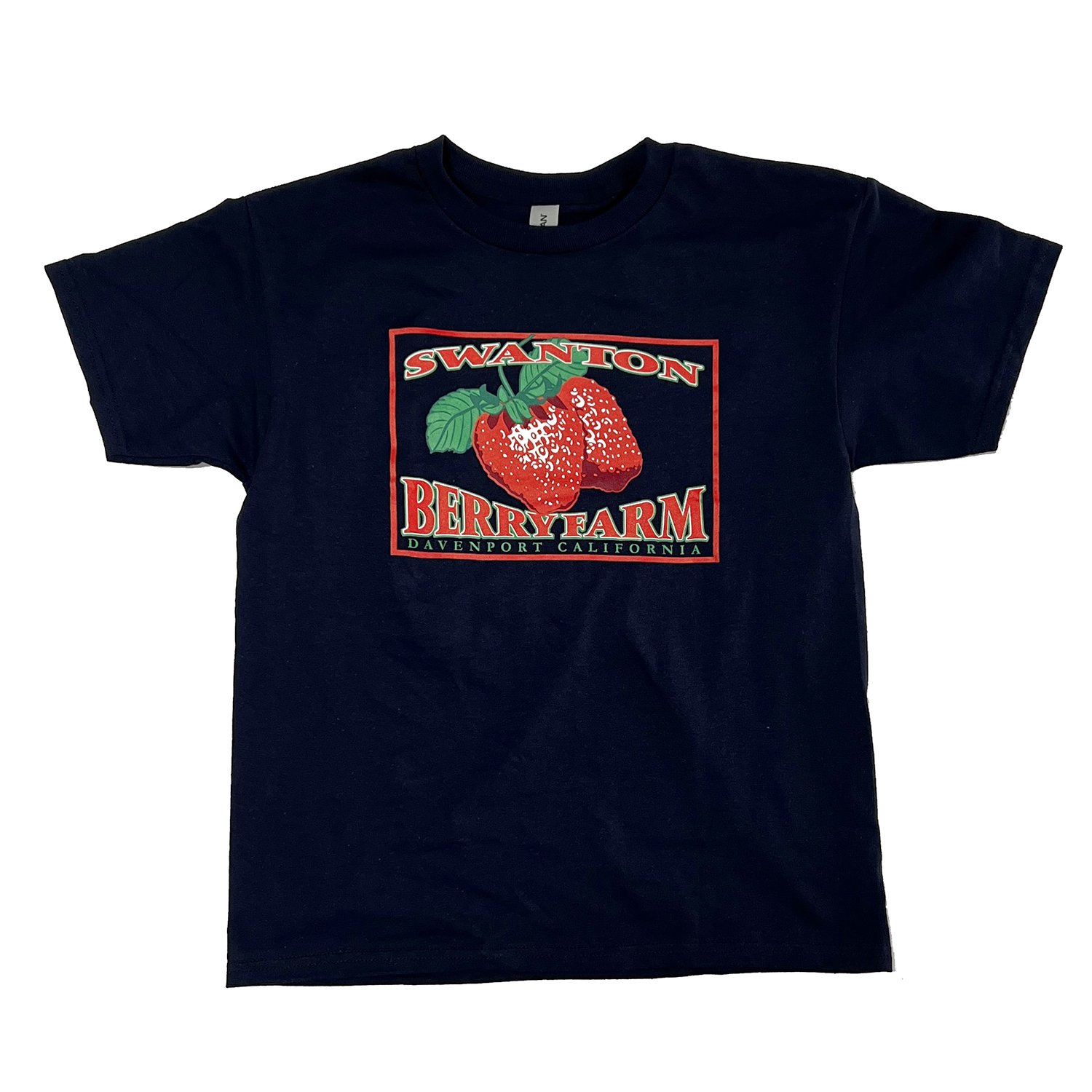 Swanton Navy Youth Tee copy.jpg