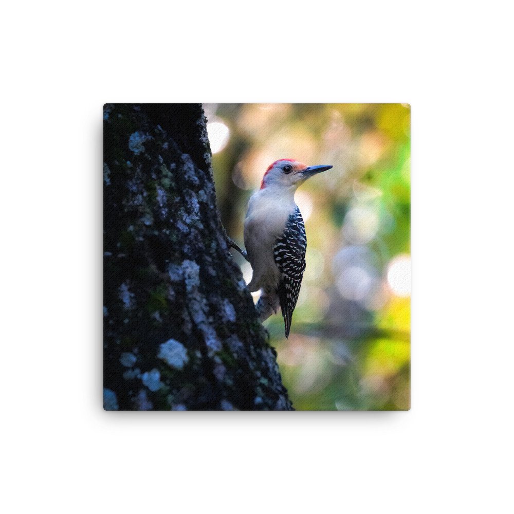 canvas-(in)-16x16-wall-62a675f85c004.jpg