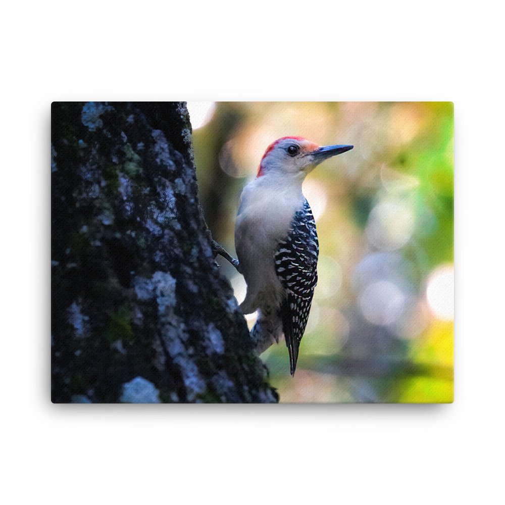canvas-(in)-18x24-wall-62a675f85c1b4.jpg