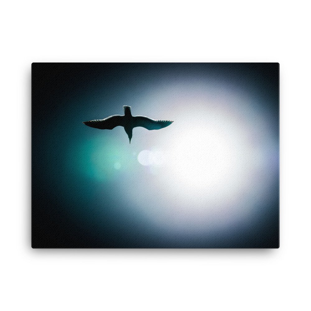 canvas-(in)-18x24-wall-62ae677d38b70.jpg