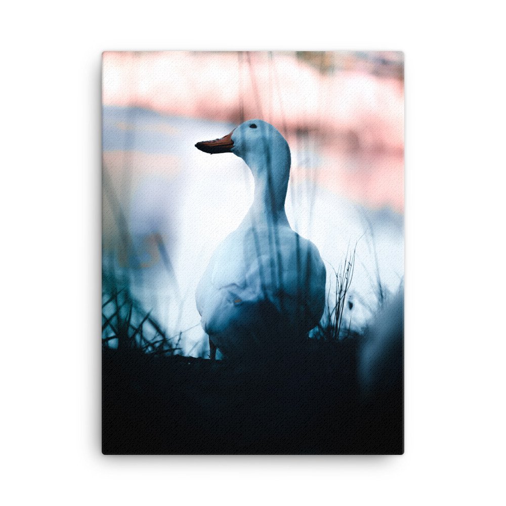canvas-(in)-18x24-wall-62ae69f4734f8.jpg