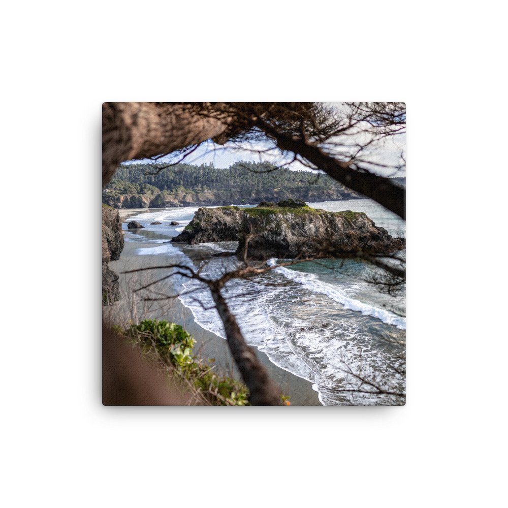 canvas-(in)-12x12-wall-62b53b964c921.jpg