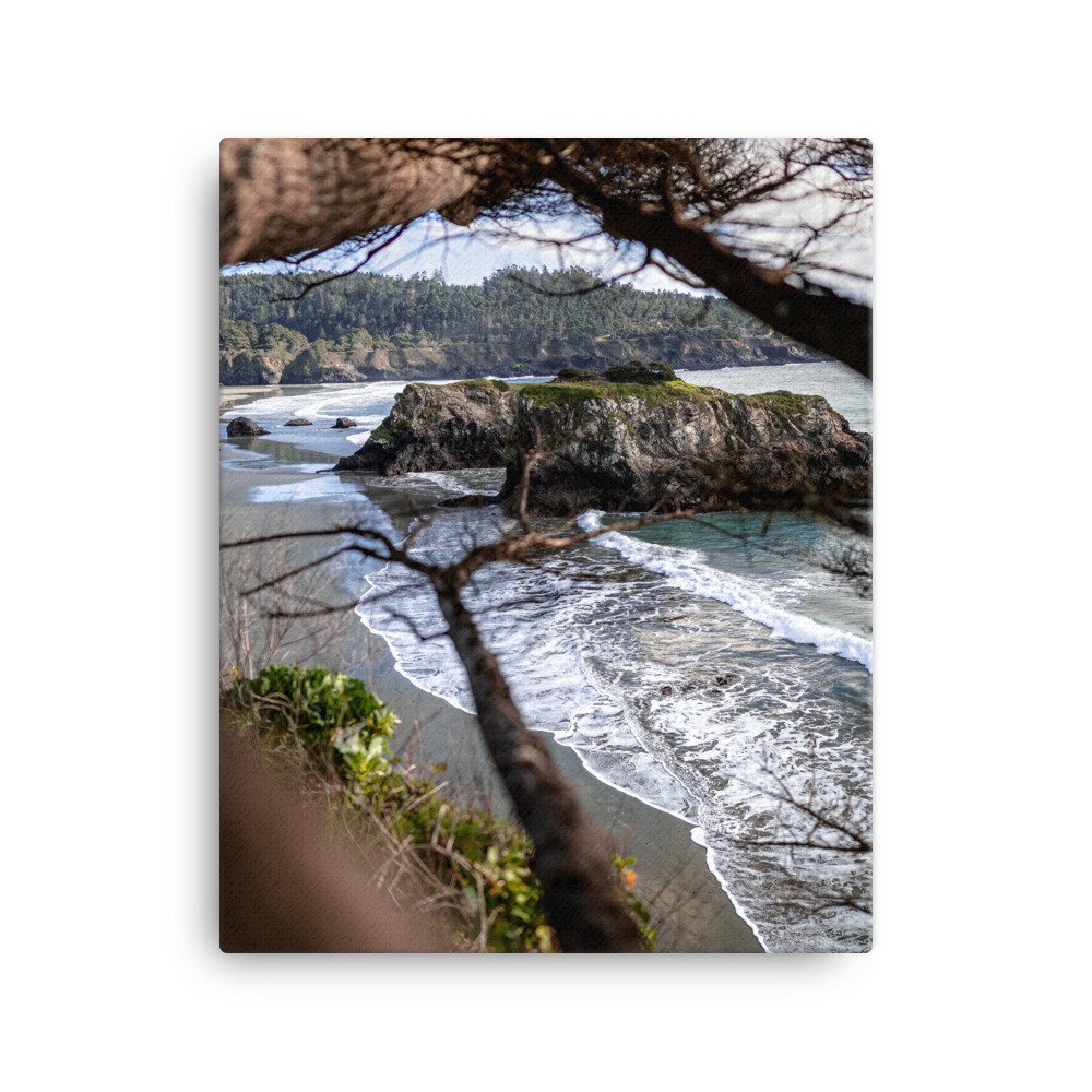 canvas-(in)-16x20-wall-62b53b964ca43.jpg