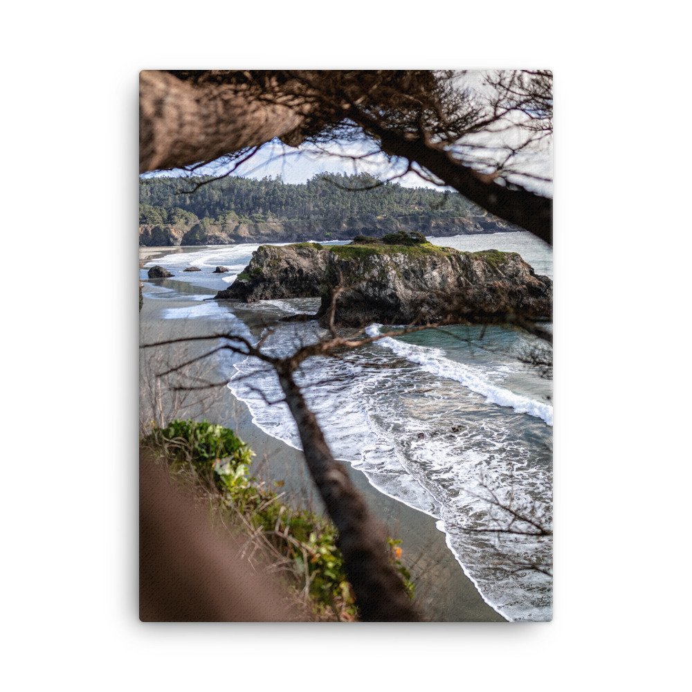 canvas-(in)-18x24-wall-62b53b964cb07.jpg