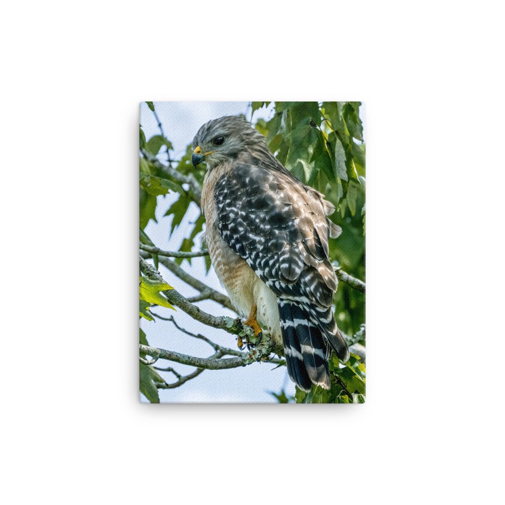 canvas-(in)-12x16-wall-631d2585c18a7.jpg