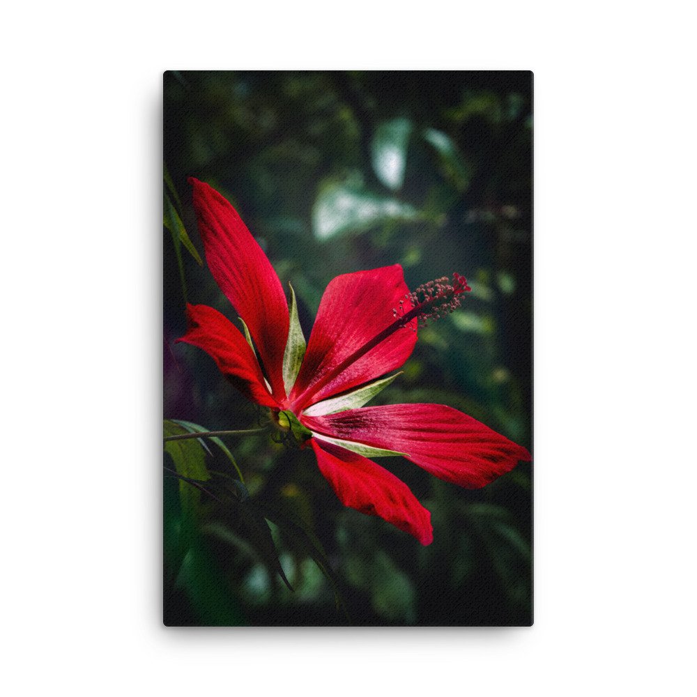 canvas-(in)-24x36-wall-631d3b4e5f11e.jpg