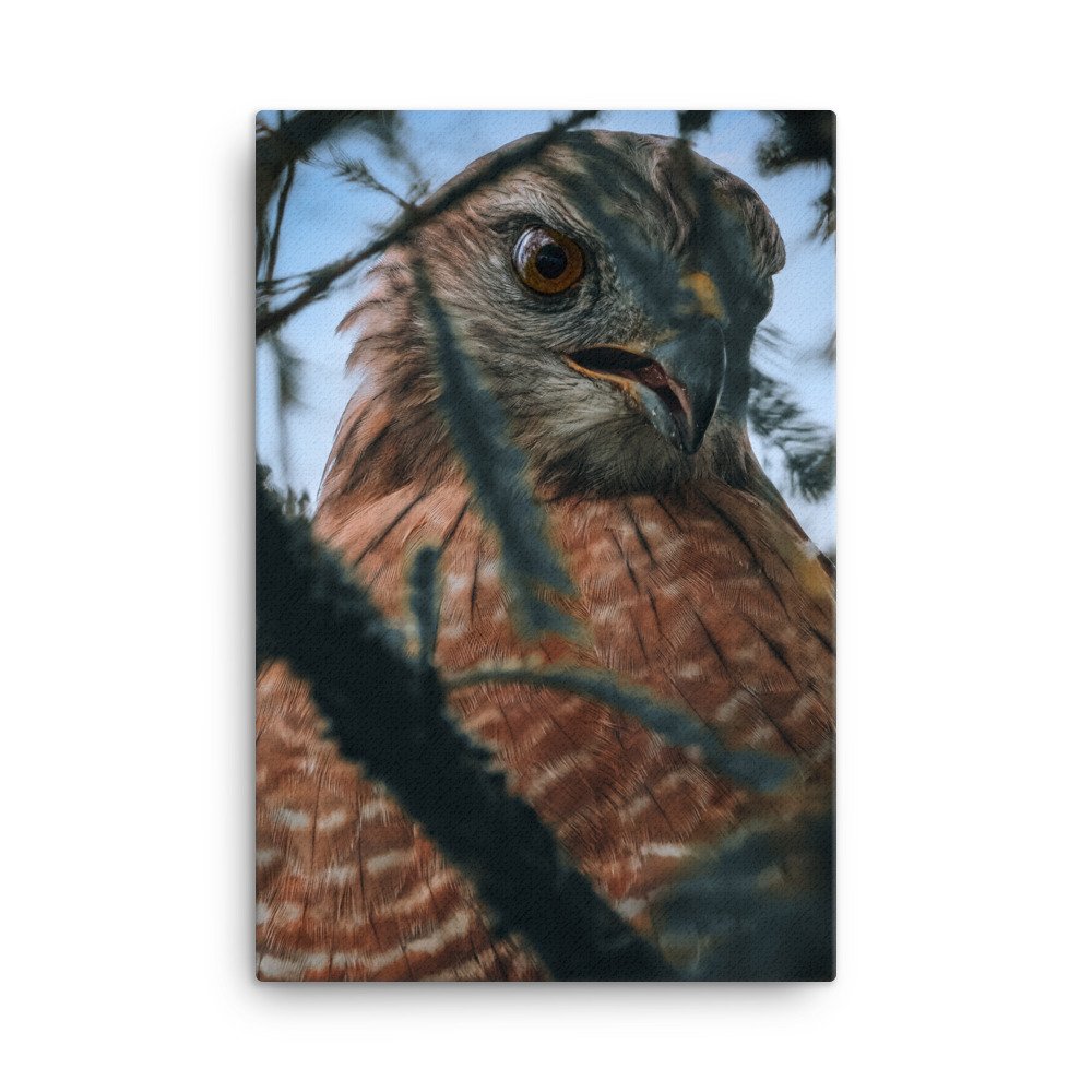 canvas-(in)-24x36-wall-631d439e9fc77.jpg
