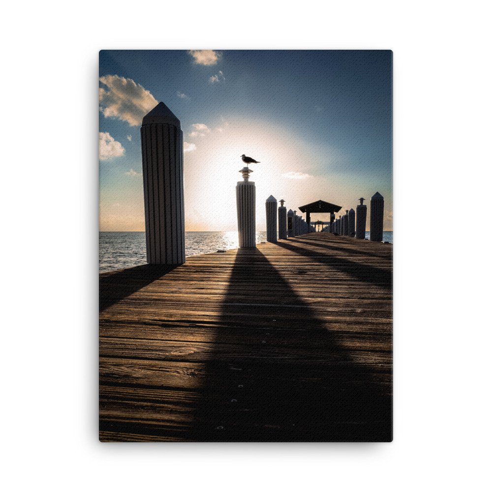 canvas-(in)-18x24-wall-631ec476e7c68.jpg