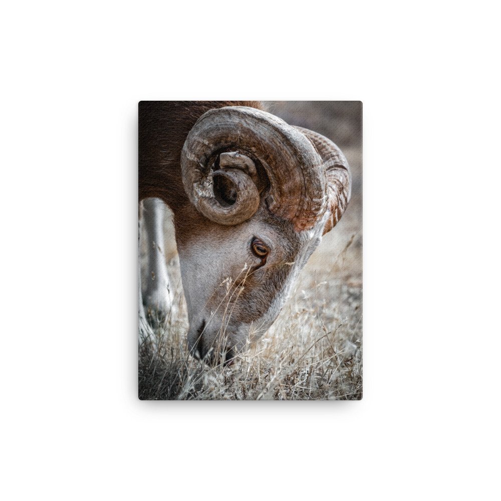canvas-(in)-12x16-wall-631ecd764cf3d.jpg