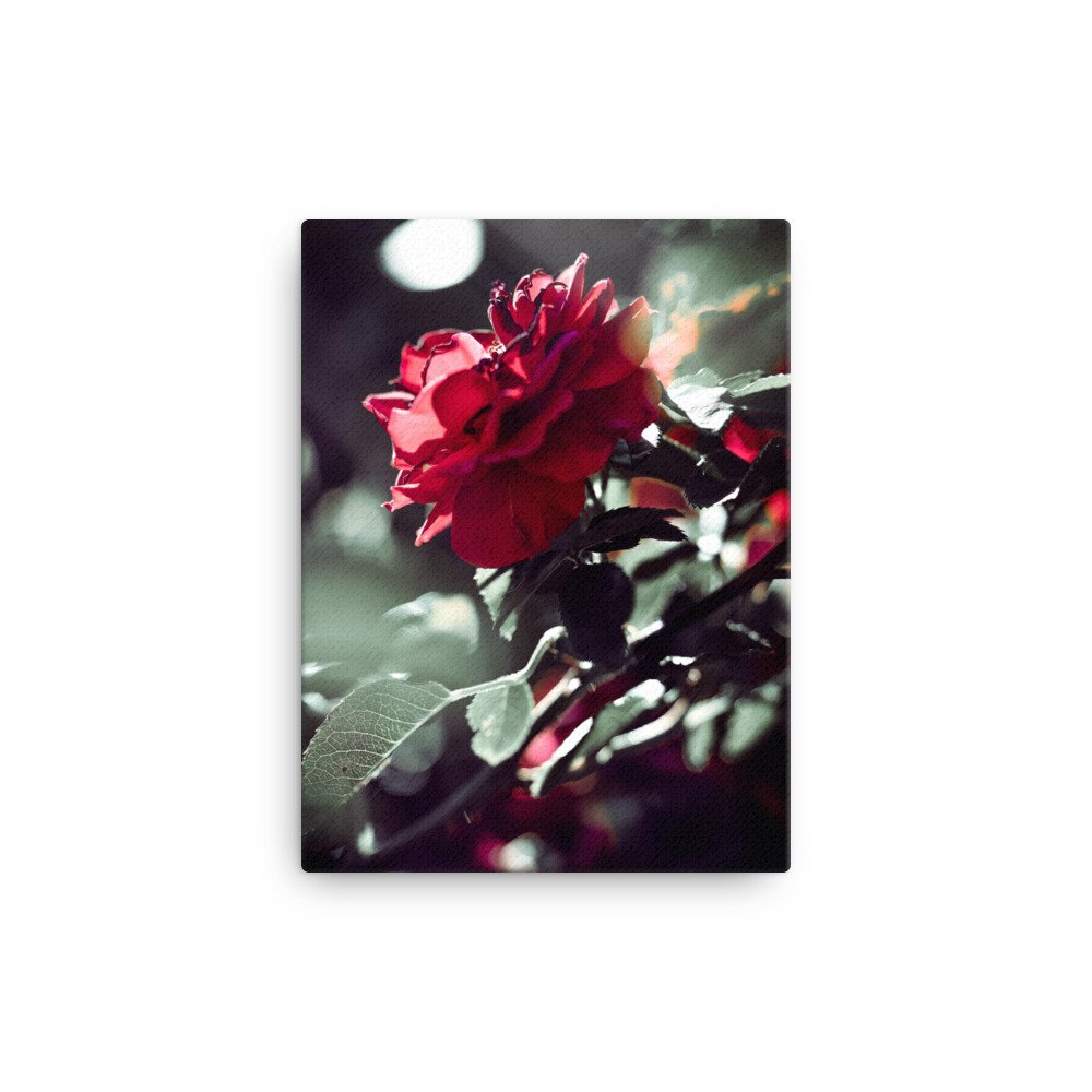 canvas-(in)-12x16-wall-6330c46f9d3dc.jpg