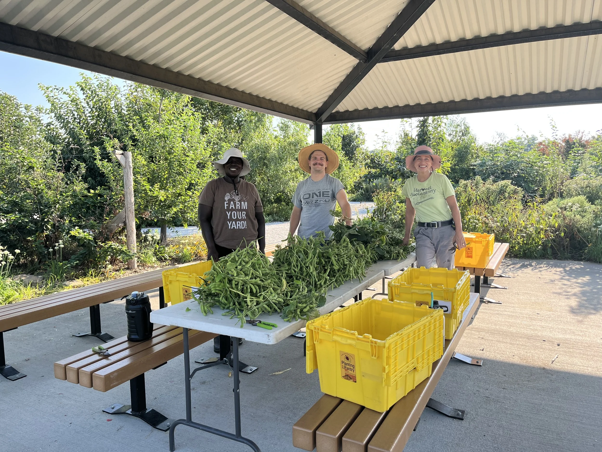 Apprentices stand proudly over their bean harvest. Gain hands-on farming and agriculture skills at Columbia's Agriculture Park with CCUA.