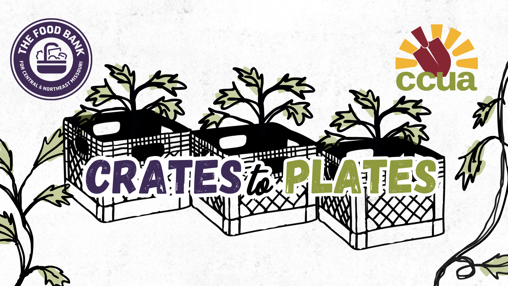 Crates to Plates! How to Build a Crate Garden