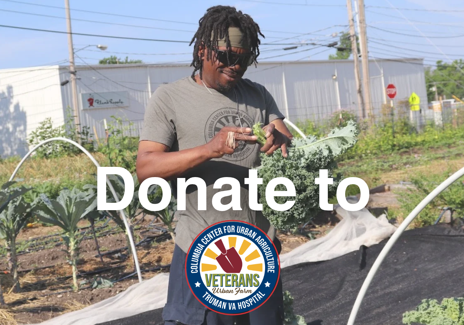 Text reads "Donate to CCUA's Veterans Urban Farm" with clickable image featuring a Veteran at Mark & Carol Stevenson's Veterans Urban Farm harvesting kale. Link takes the reader to more information on the topic.