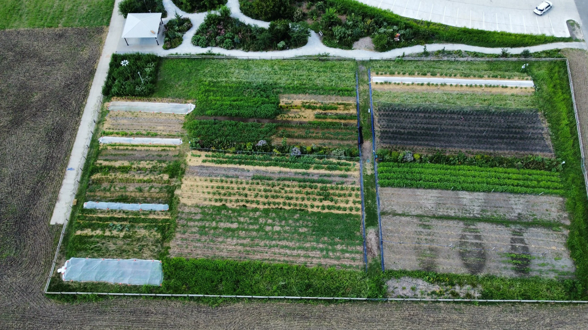 Drone shot from above of Columbia's Agriculture Park featuring CCUA's Planting for the Pantry Production Rows and Food Forest