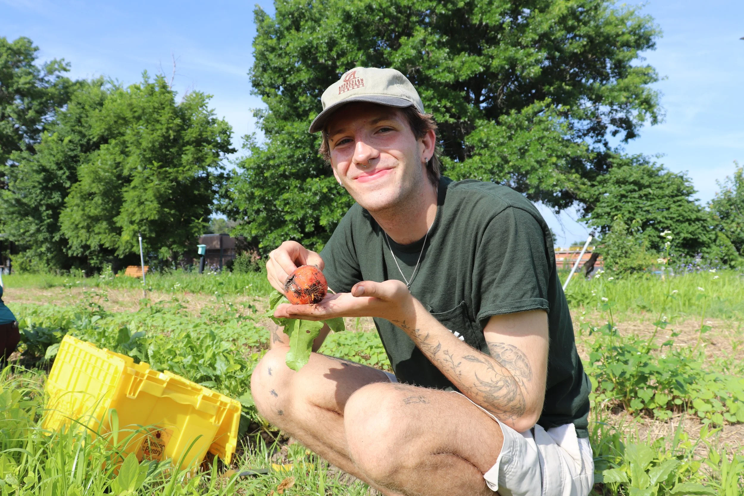 An apprentice harvests beets. Gain hands-on farming and agriculture skills at Columbia's Agriculture Park with CCUA.