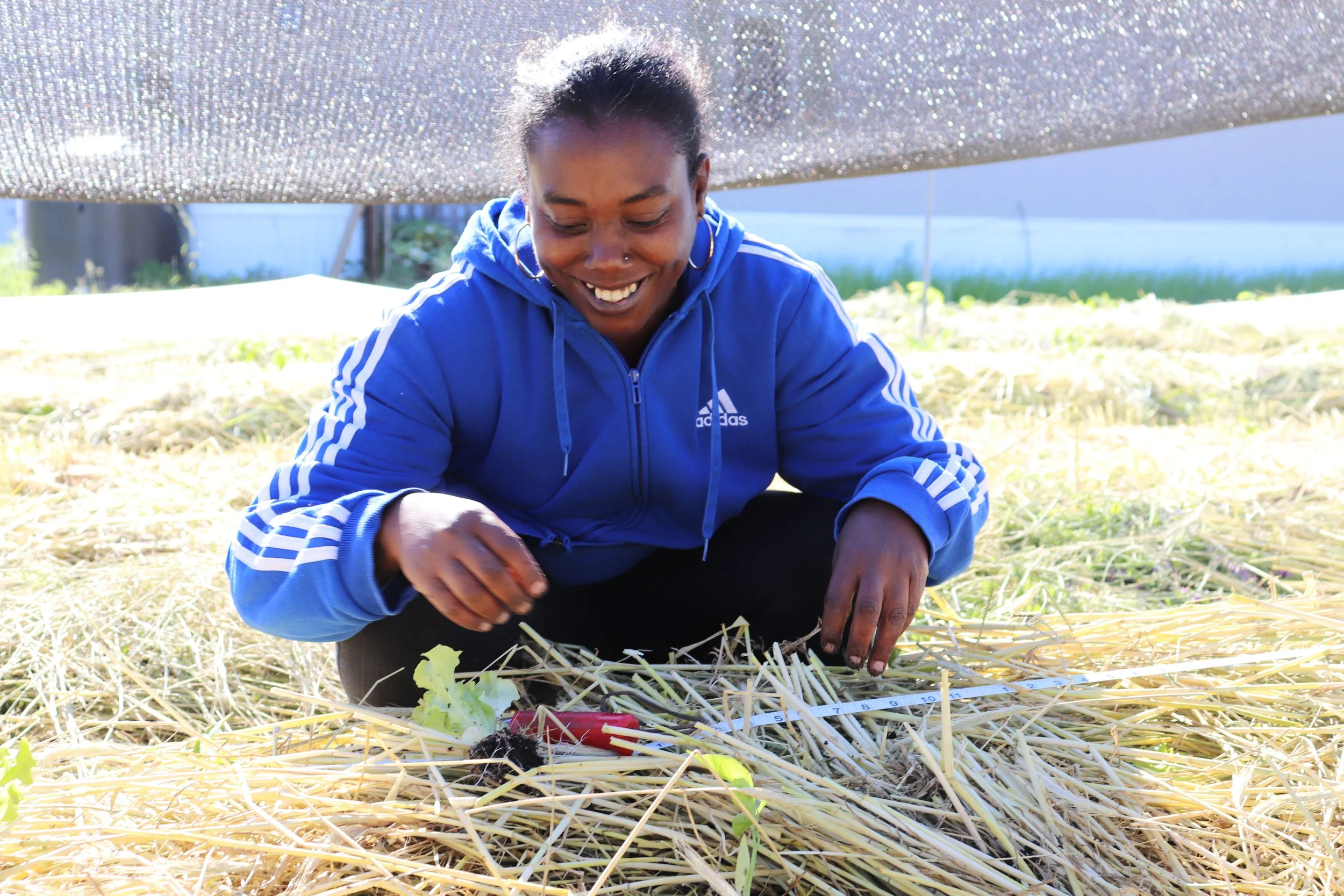 Market Garden Apprentice gaining hands-on skills in farming and agriculture smiling while planting kale at Columbia's Agriculture Park