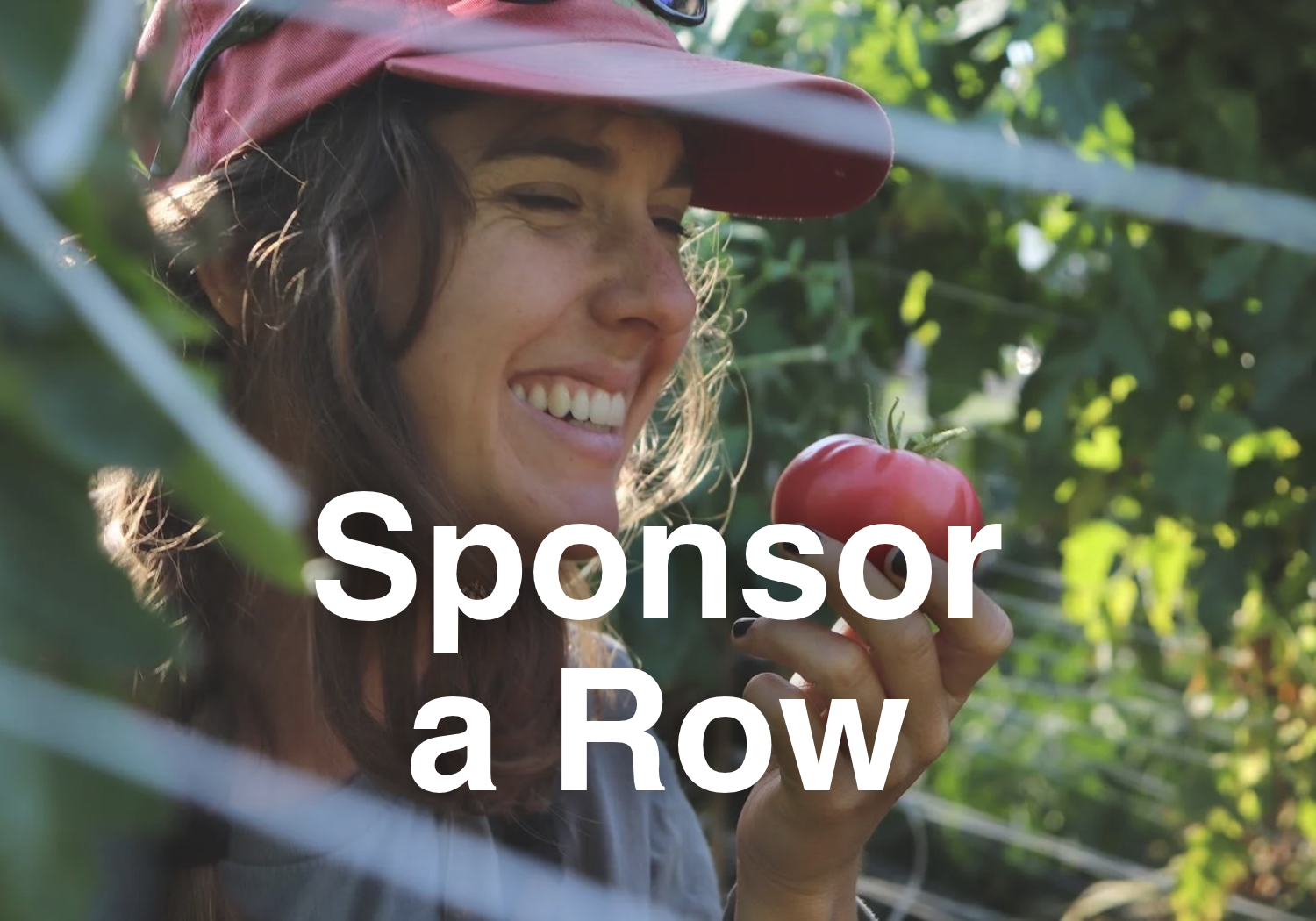 Text reads "Sponsor a Row" with clickable image featuring a volunteer harvesting tomatoes in CCUA's production field smiling. Link takes the reader to more information on the topic.
