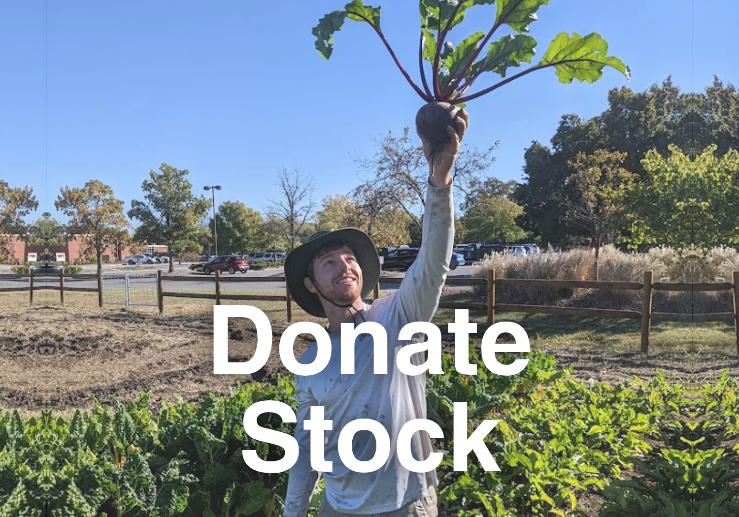 Text reads "Donate Stock" with clickable image featuring a CCUA staff member harvesting beets and smiling. Link takes the reader to more information on the topic.