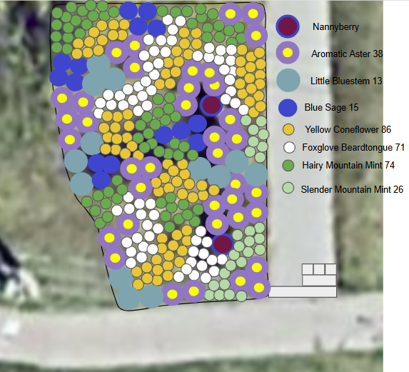 Landscaping Rotation Map. Property From Land“Sketch” to Land“Scape!” — Columbia Center for Urban Agriculture