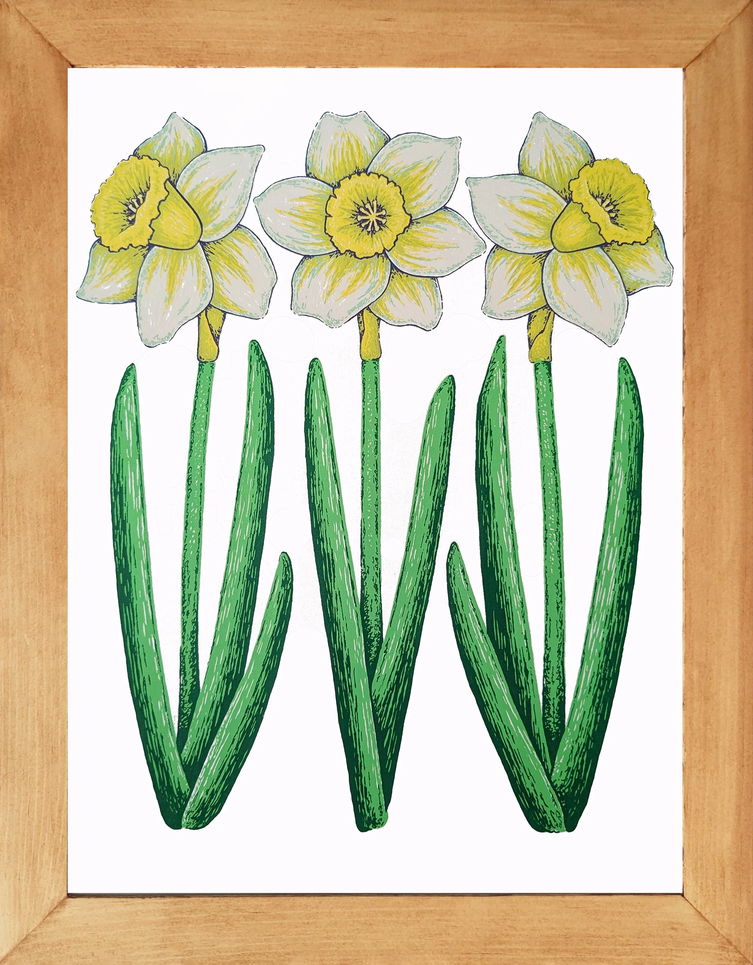 DaffodilCYFramed.jpg