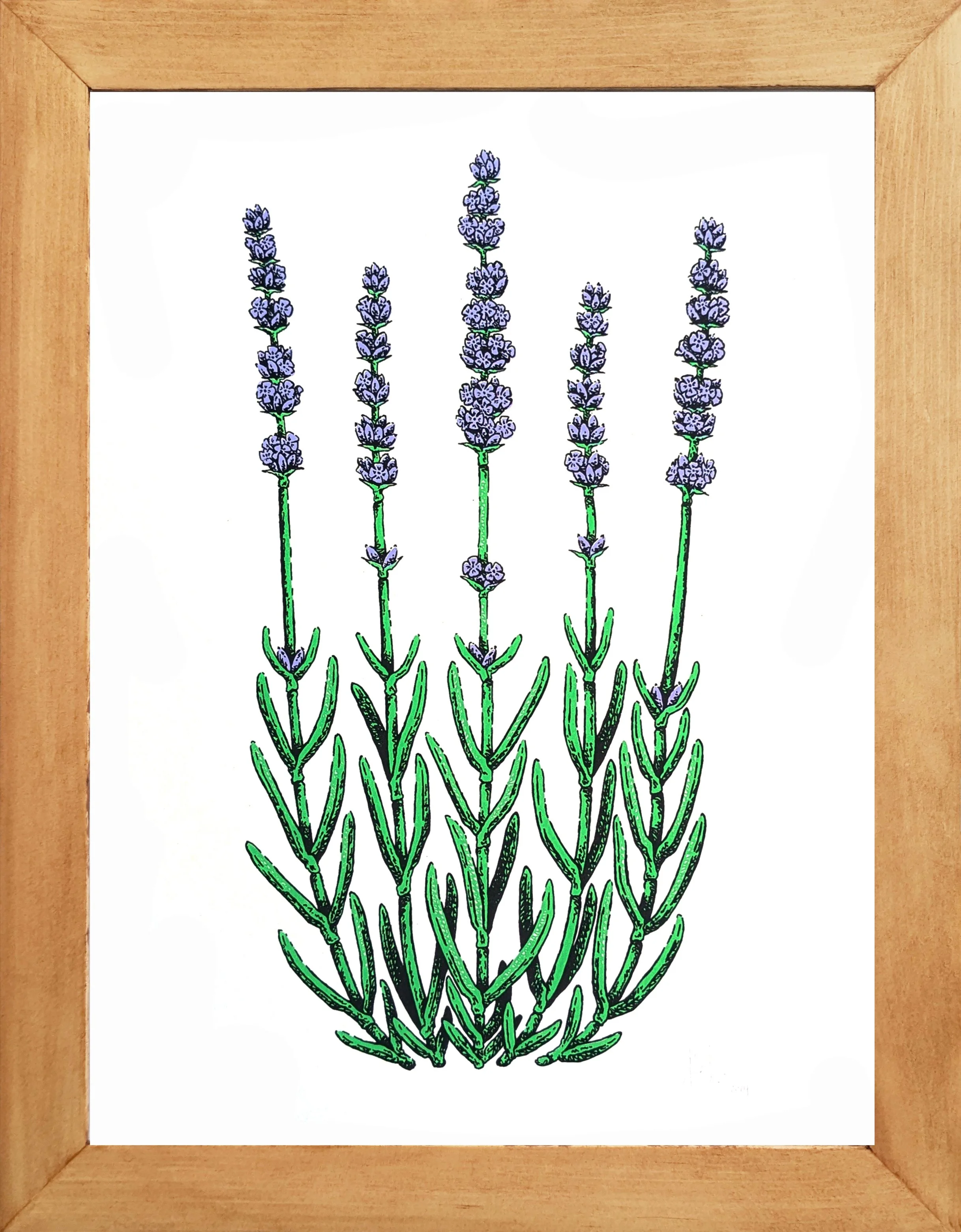 LavenderFramed.jpg
