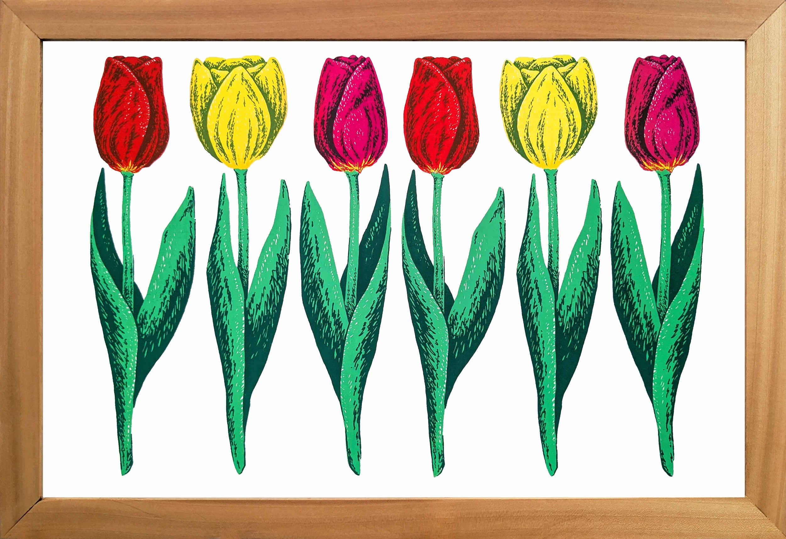 TulipsTriXLFramed.jpg