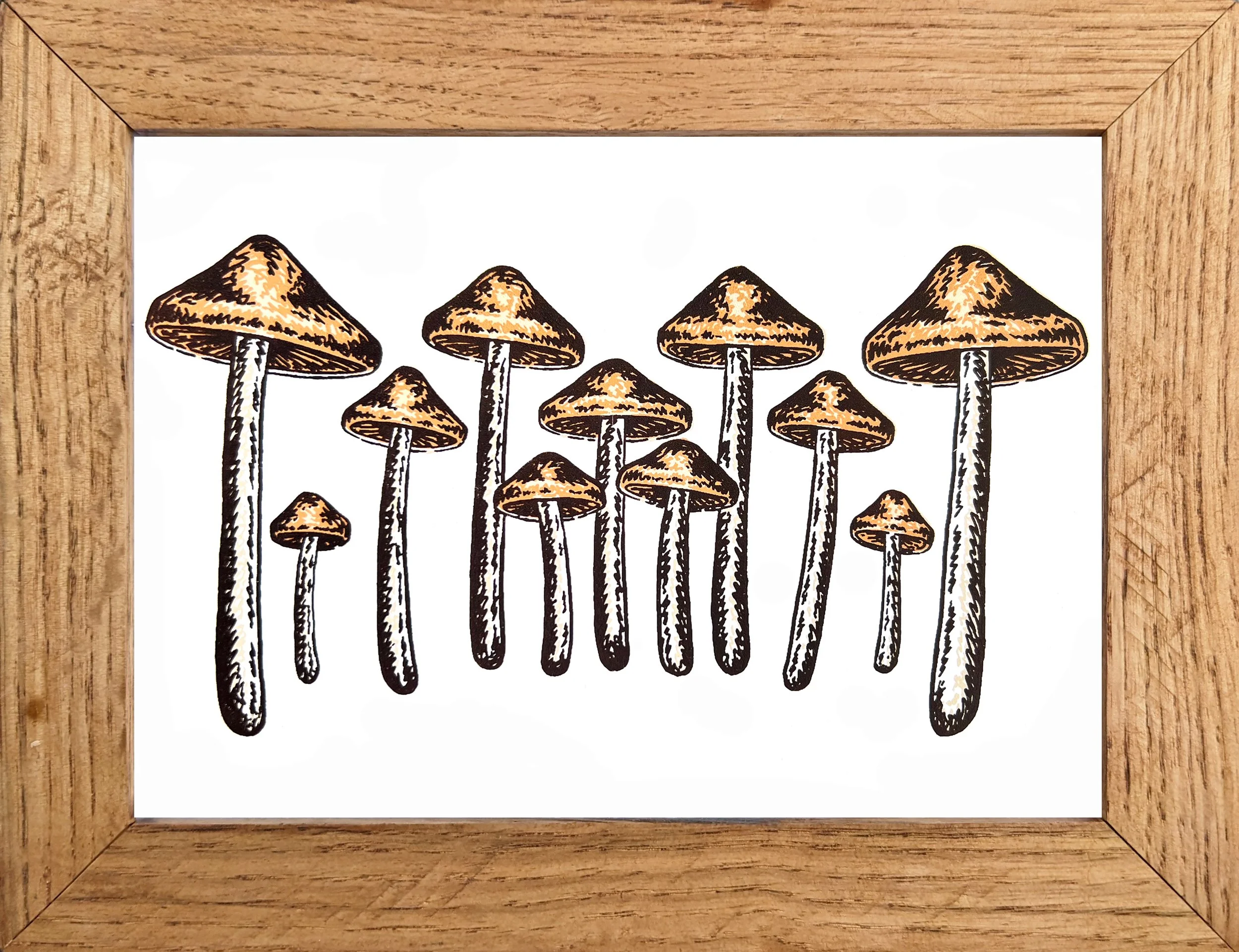 ShroomsOrangeFramed.jpg