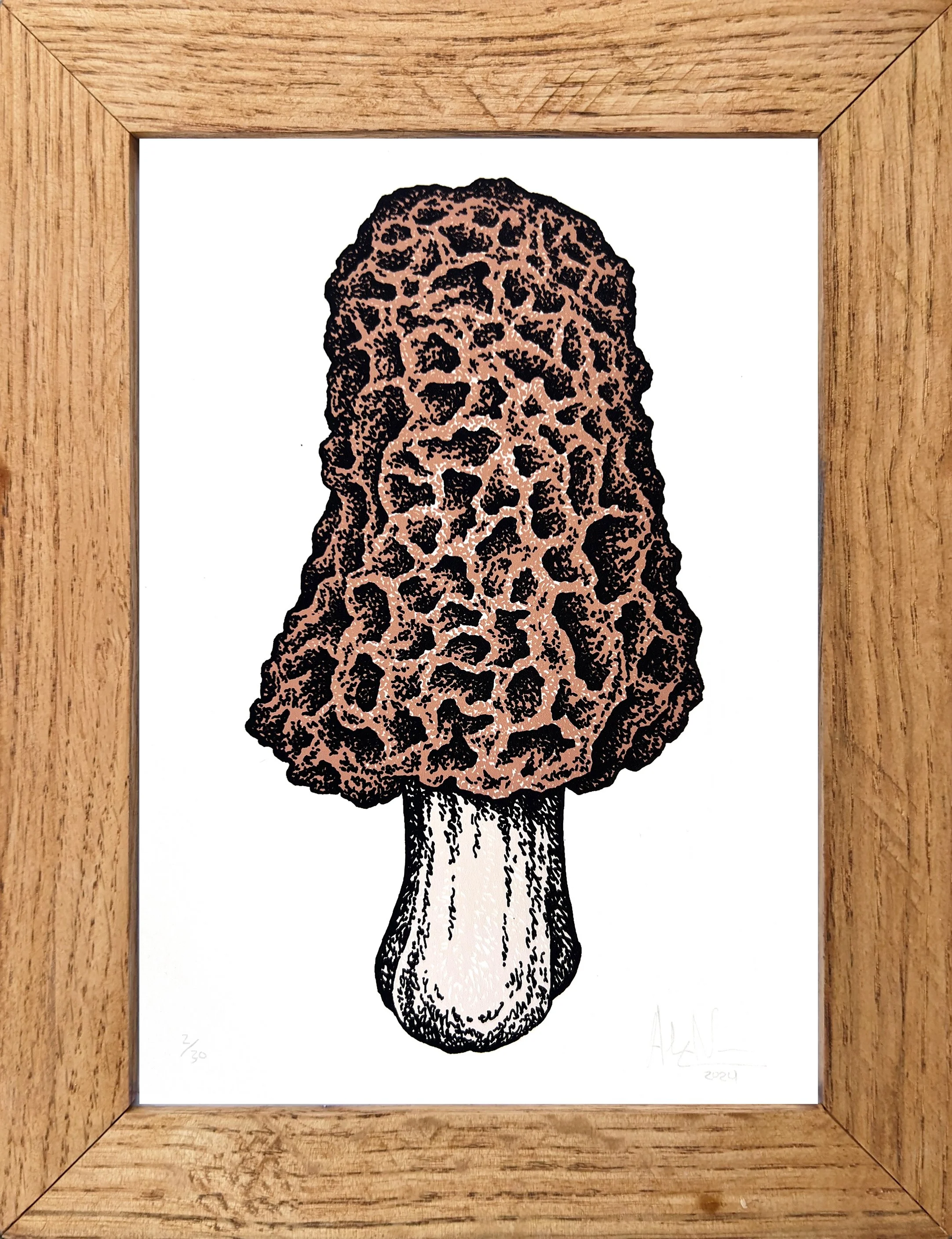 ShroomMorelFramed.jpg