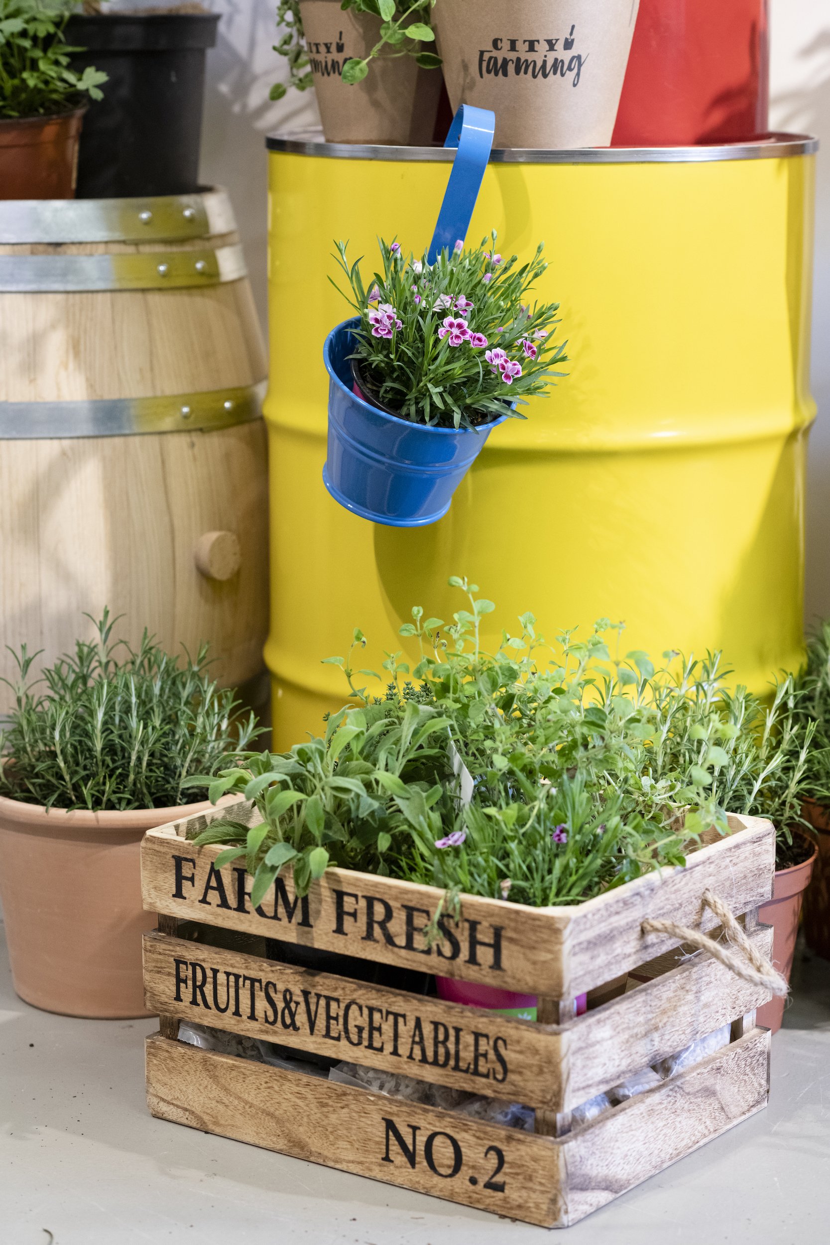 MigrosCityFarmingFaehFaeh032019-8.jpg