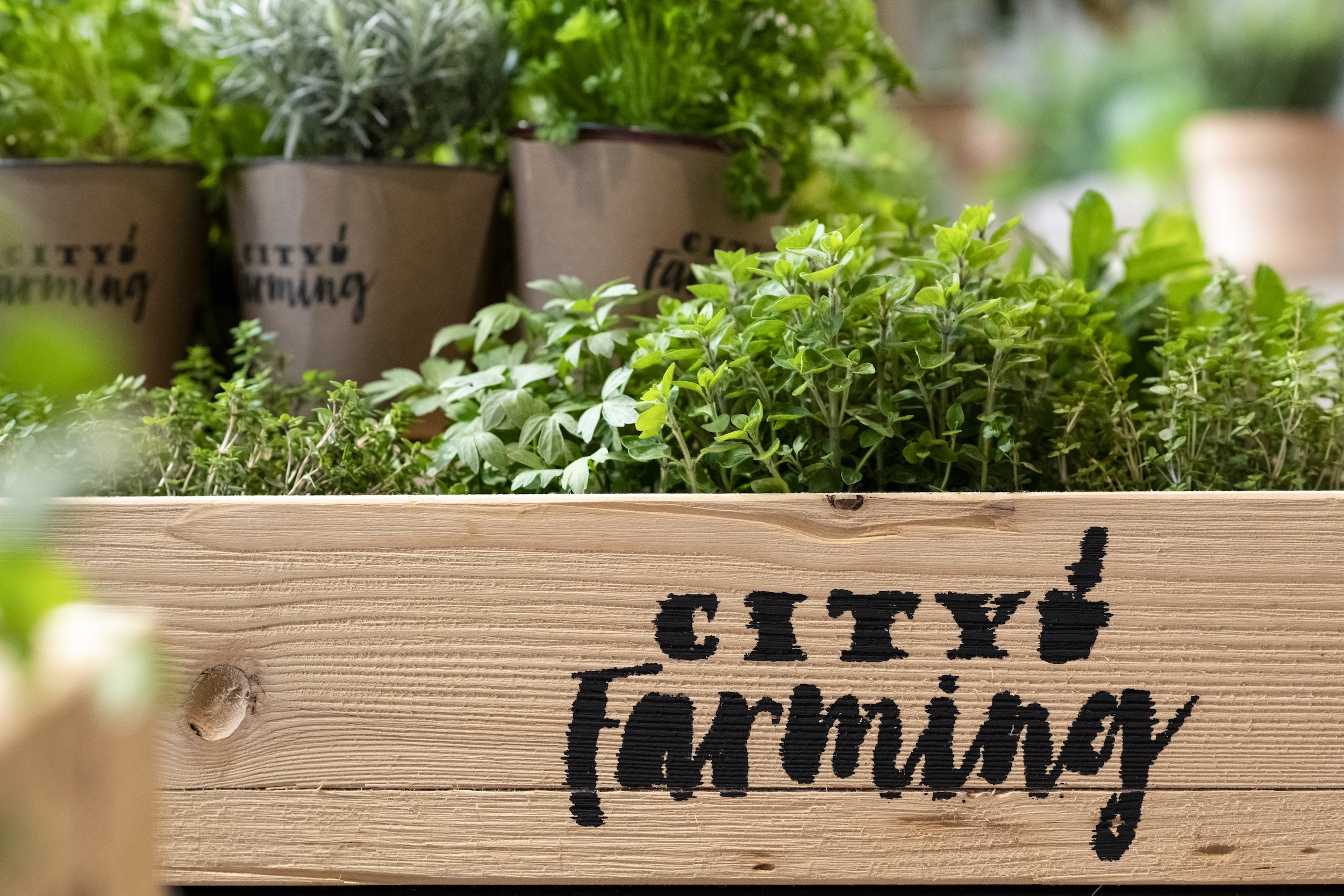 MigrosCityFarmingFaehFaeh032019-33.jpg