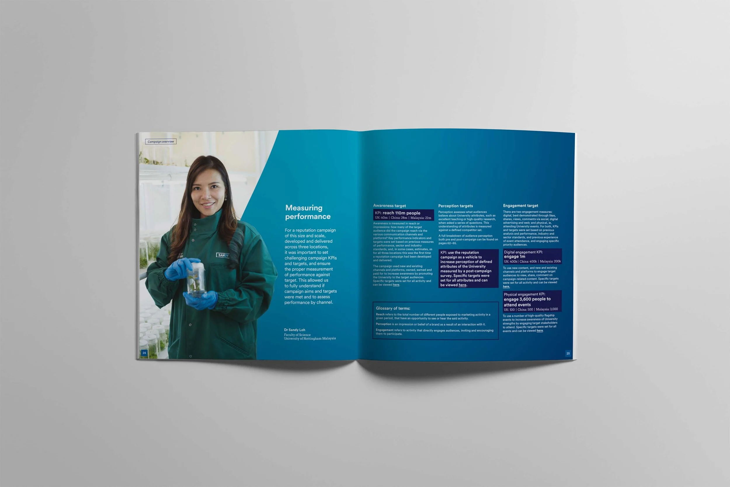 ReputationCampaignsBrochure2.jpg