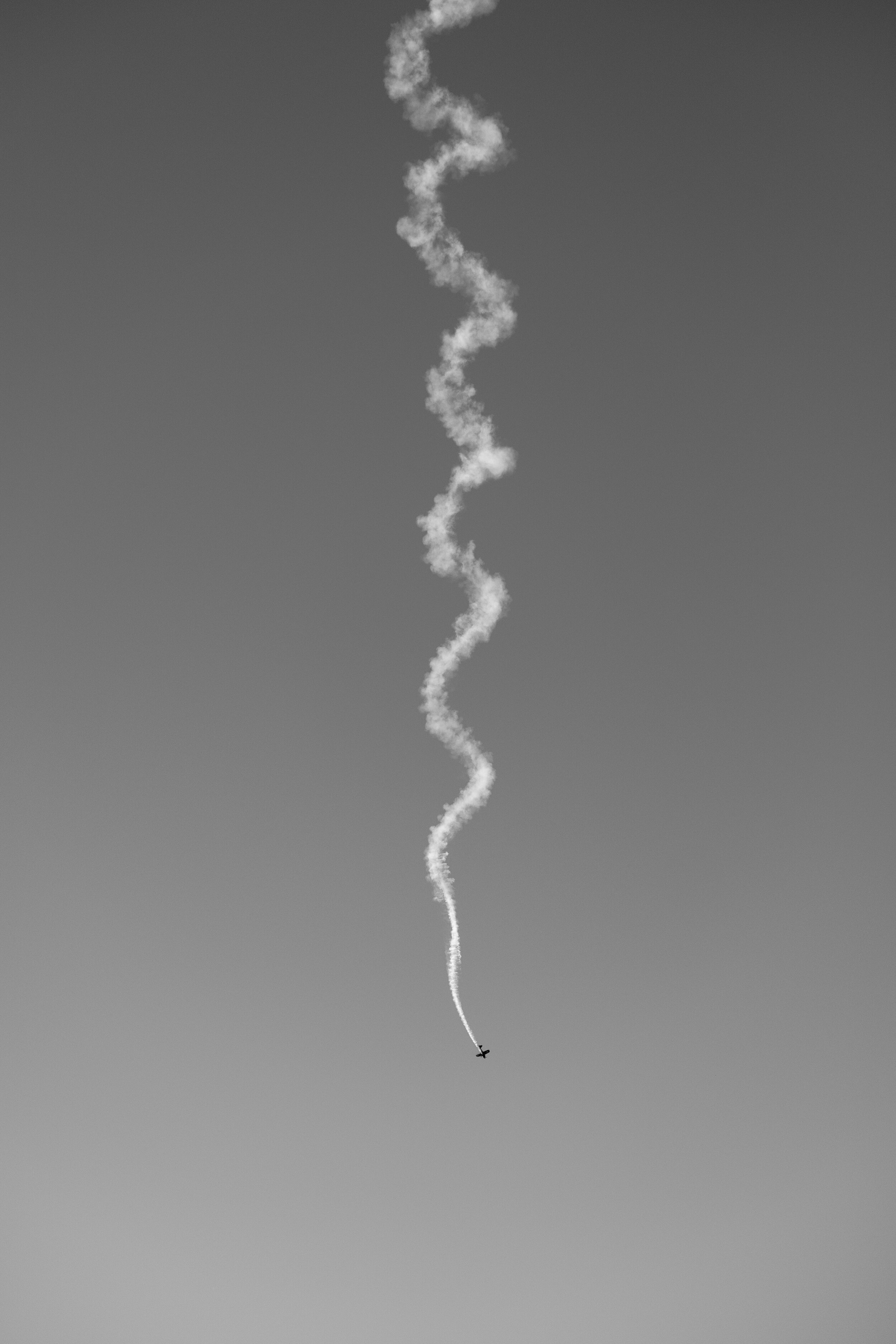 Nosedive Pick ED (1 of 1).jpg