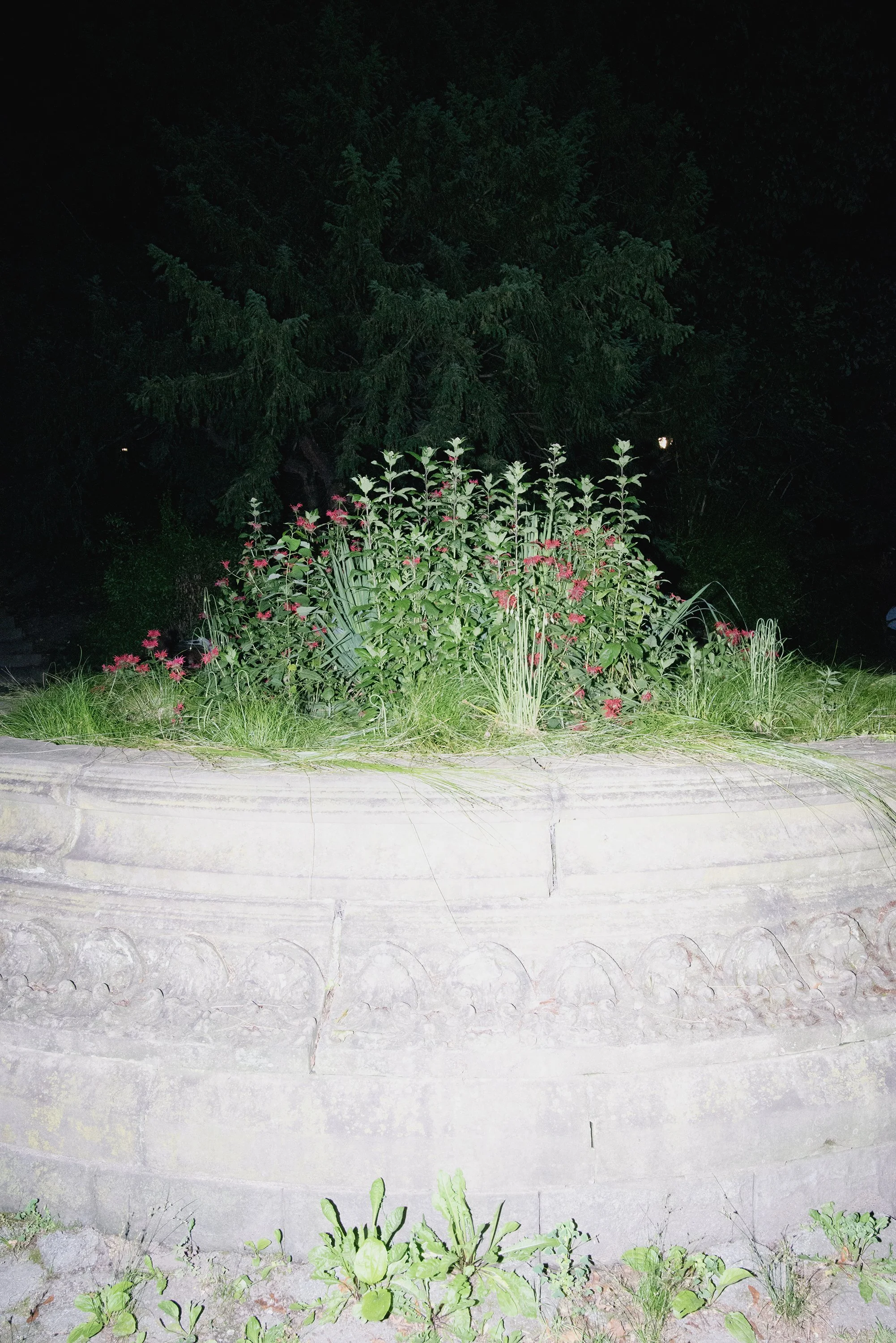 DSC_9689 long.jpg