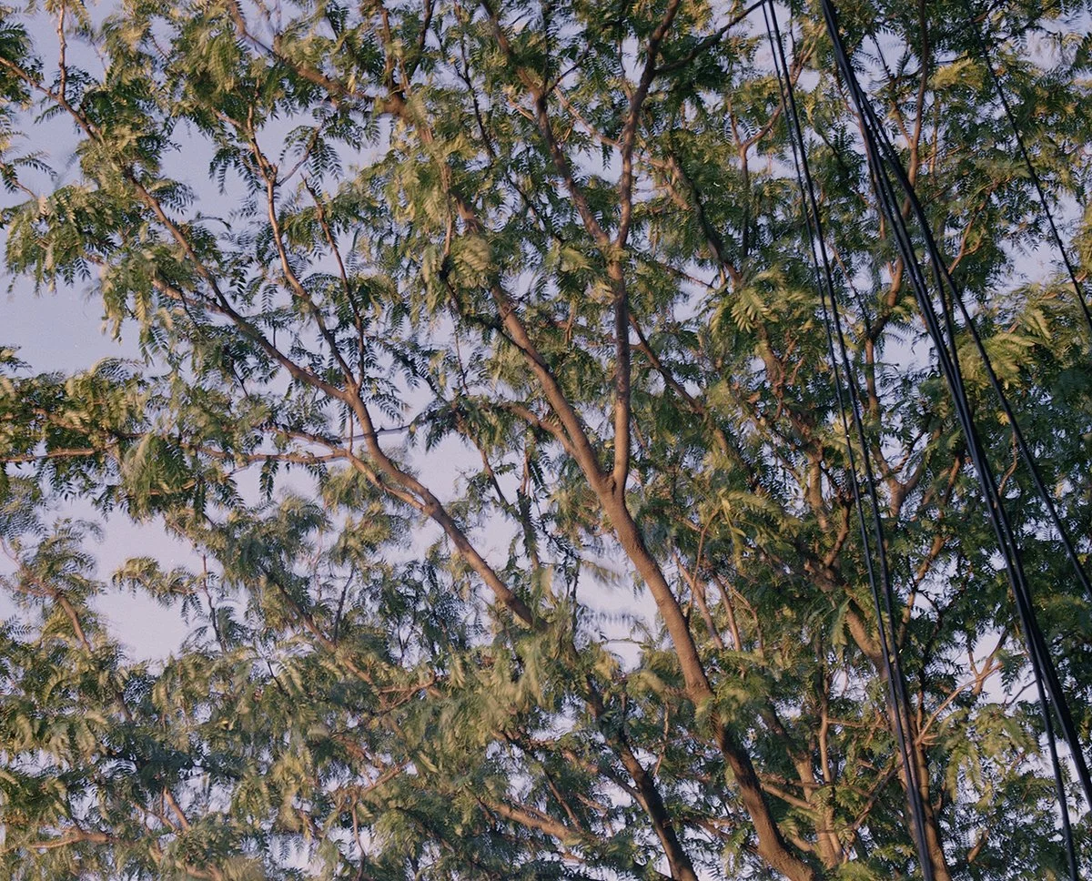 spring_120_small.jpg