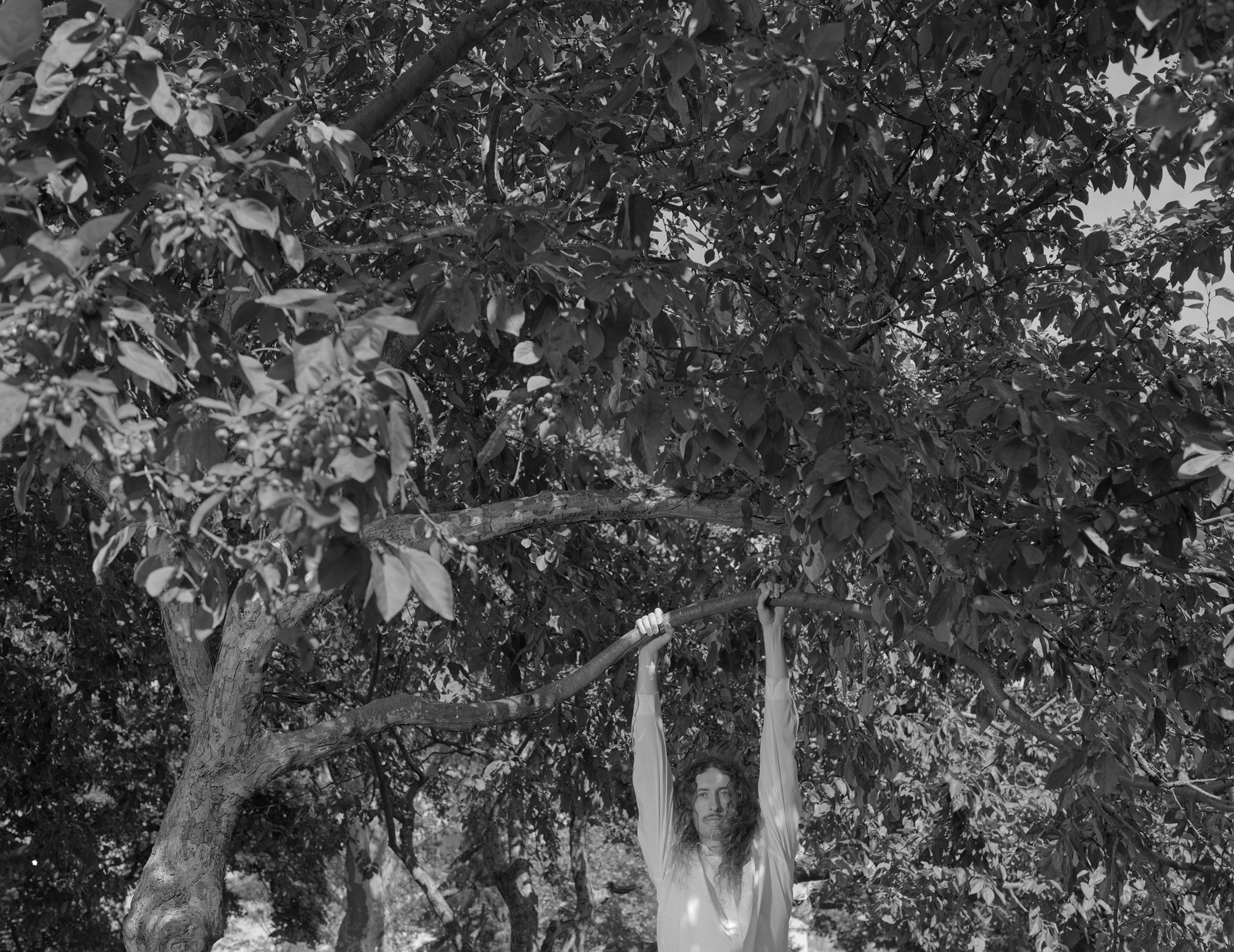 morgan in the trees005 small.jpg