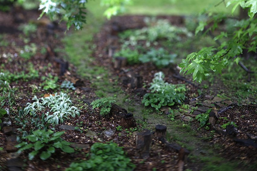 Gardening practices and medicine making at OHG