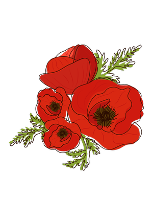 Poppies_2 - Copy.webp