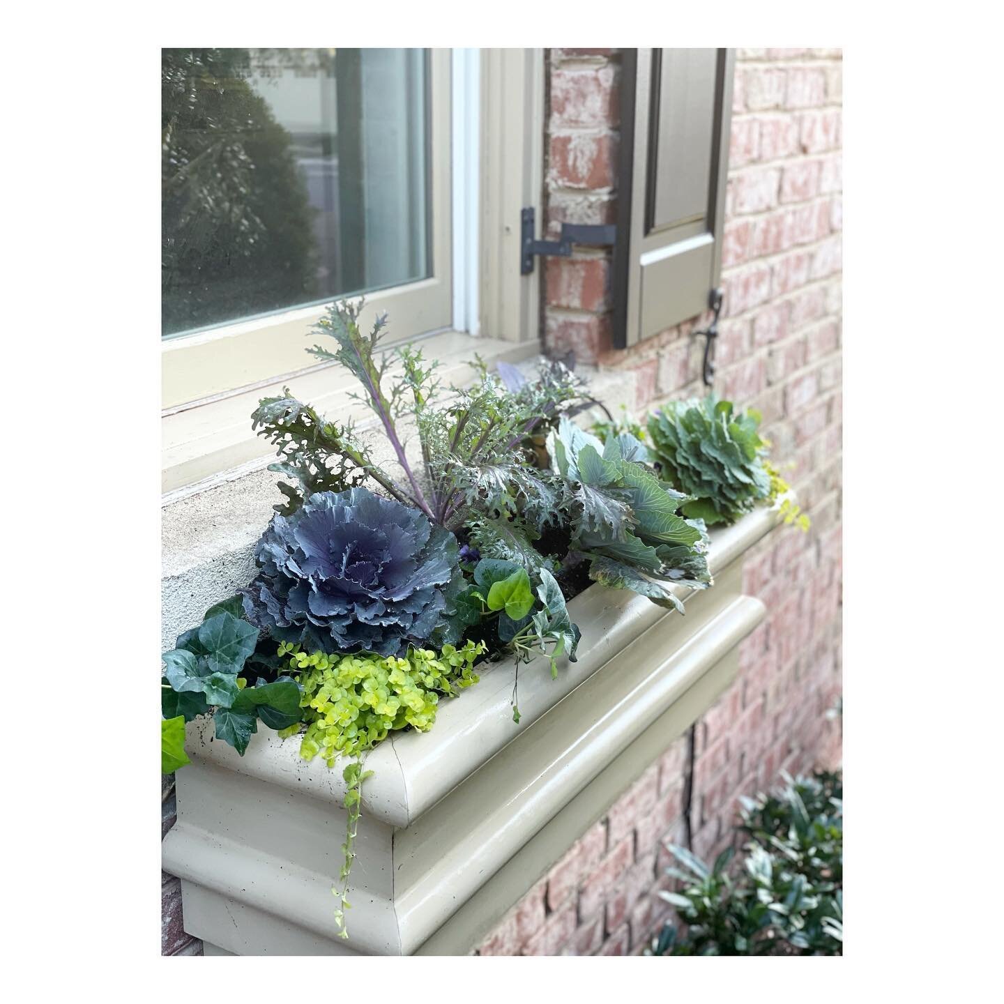 Did you know Spruce also provides custom design and planting services?!? 🙌🏻🤩🙌🏻 These gorgeous window boxes and planter for @dm_bengel capture the essence of fall and will be gorgeous for months to come 🌱 

DM us for options and pricing!