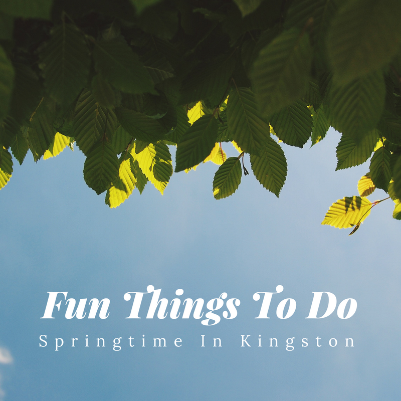 Fun Things To Do - Springtime in Kingston