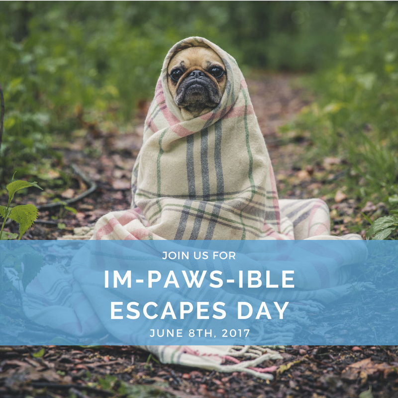 Come Escape for the Animals  - Im-PAWS-ible Escapes Day 2017!