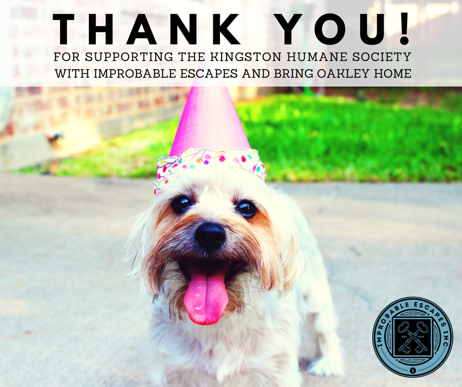 Thanks for supporting Im-PAWS-ible Escapes Day!