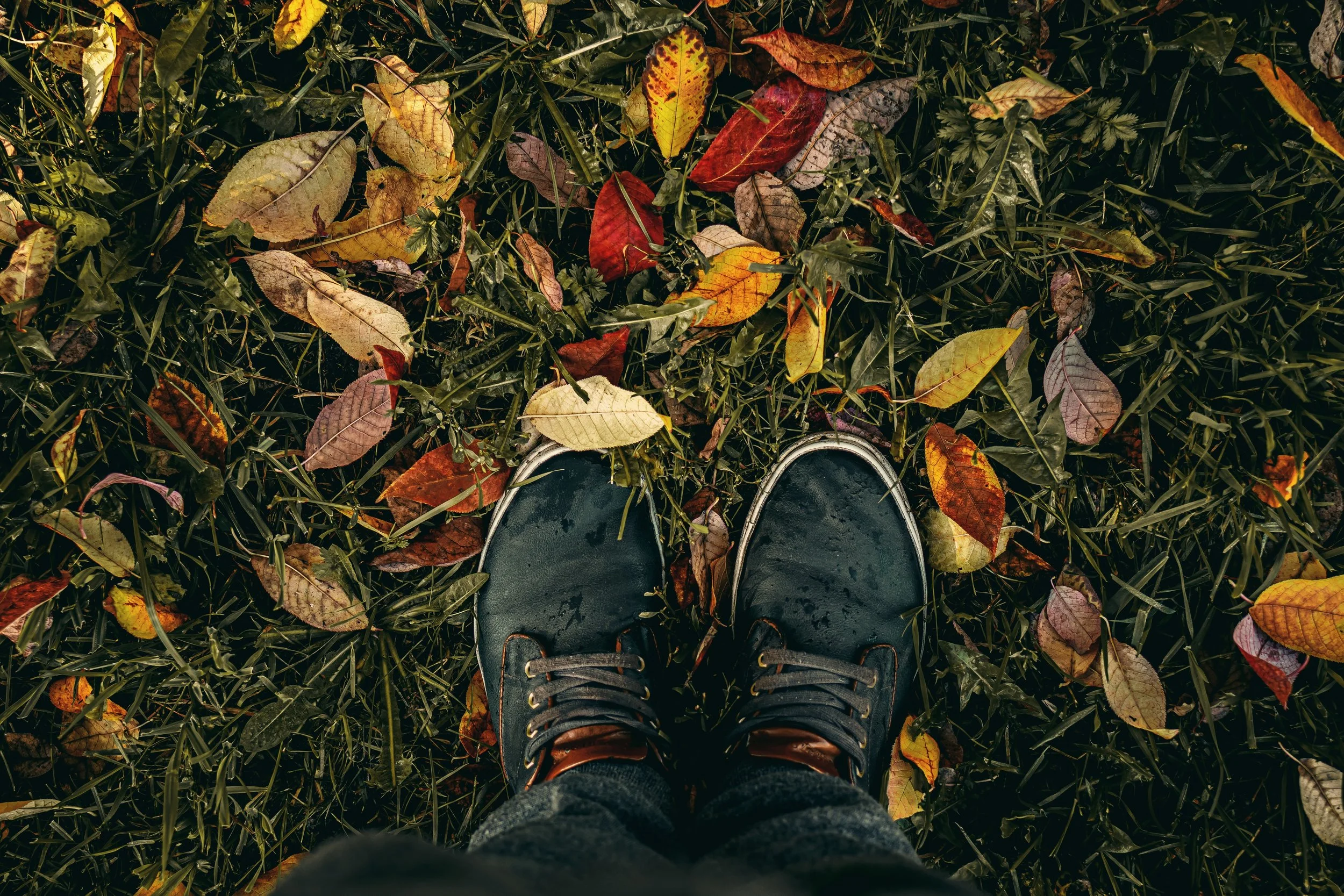 Kingston in the Fall