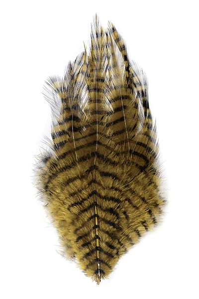 MFC Saddle Hackle - Olive Barred Black