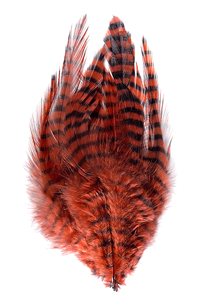 MFC Saddle Hackle - Rust Barred Black