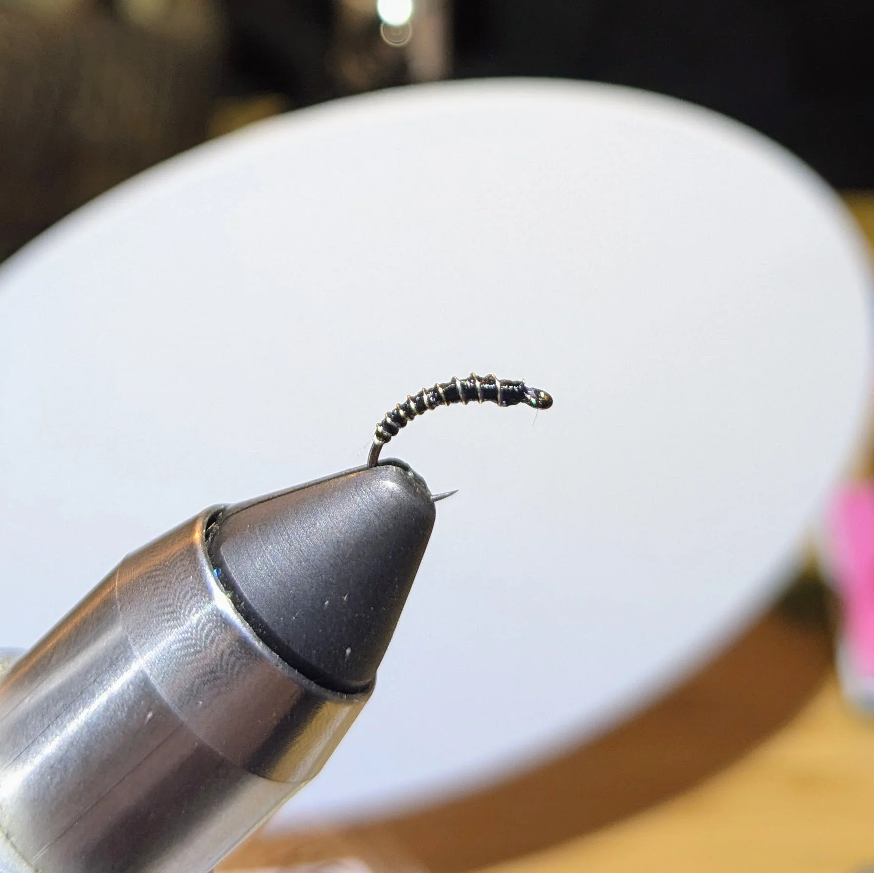 Zebra Midge