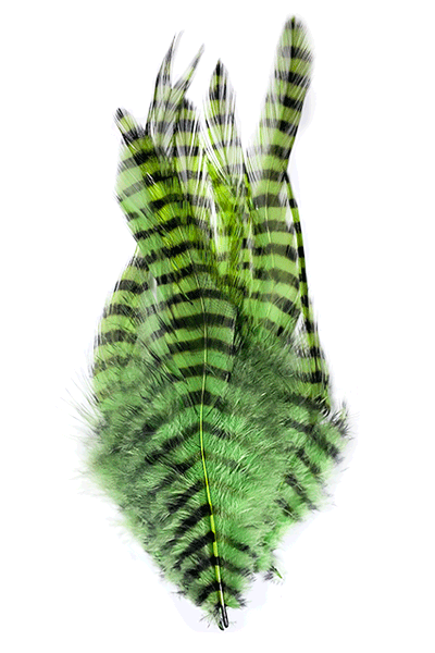 MFC Saddle Hackle - Chartreuse Barred Black
