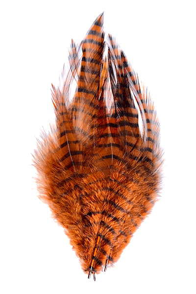 MFC Saddle Hackle - Burnt Orange Barred Black