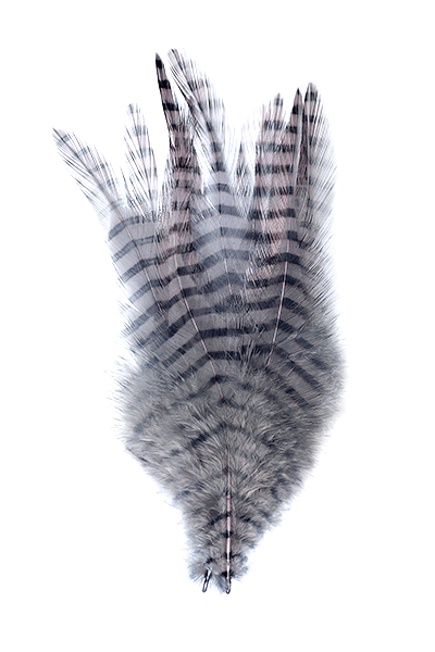 MFC Saddle Hackle - Gray Barred Black