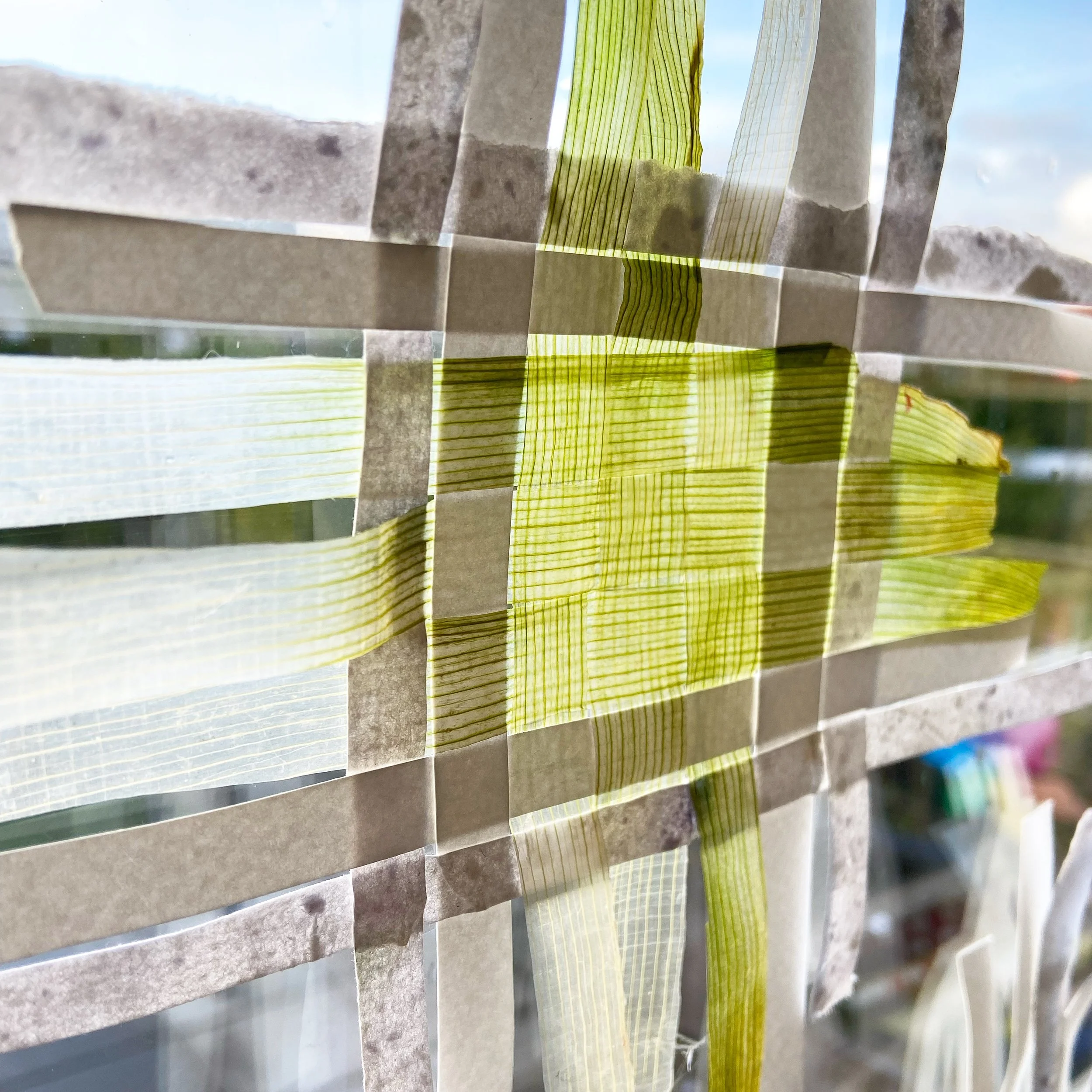 6F6BDCBA-6887-4508-976C-1F8ABC03F4E3 2.JPG